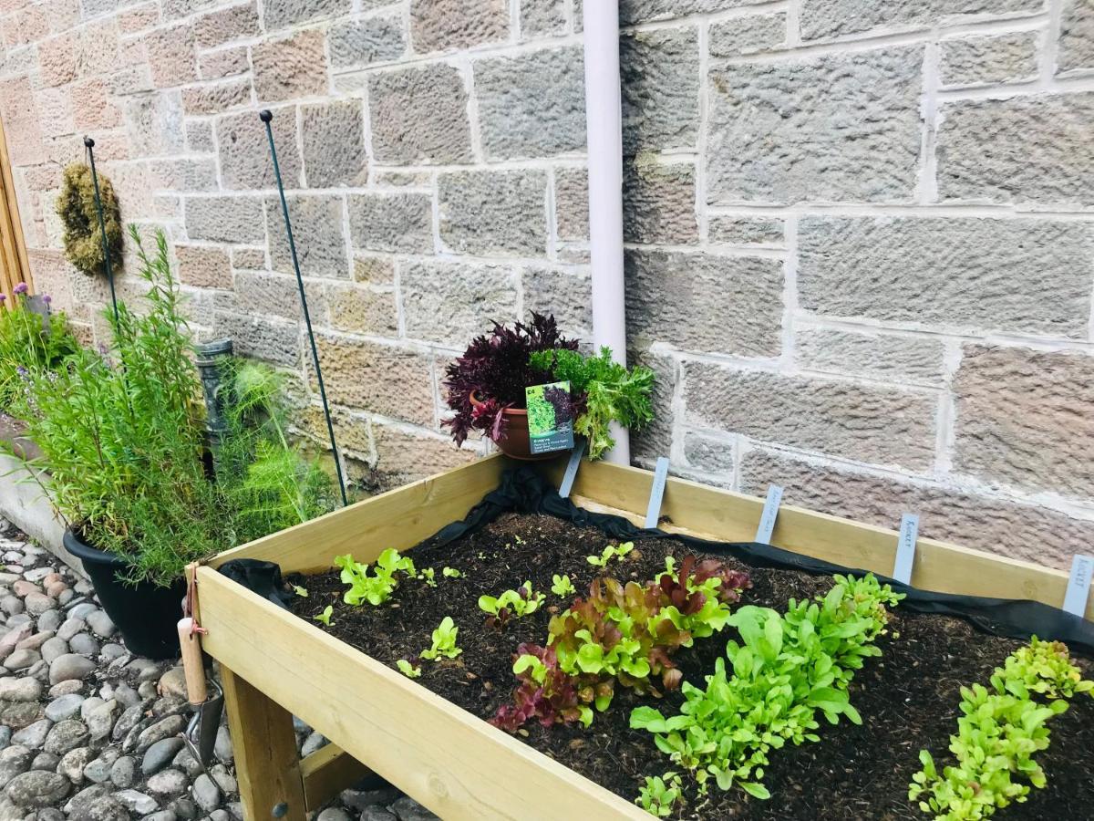 Brylach Steading Aberlour Esterno foto